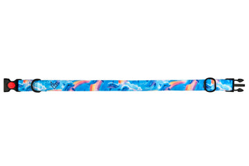 The Rainbow Rider Buckle Dog Collar With QuickLink