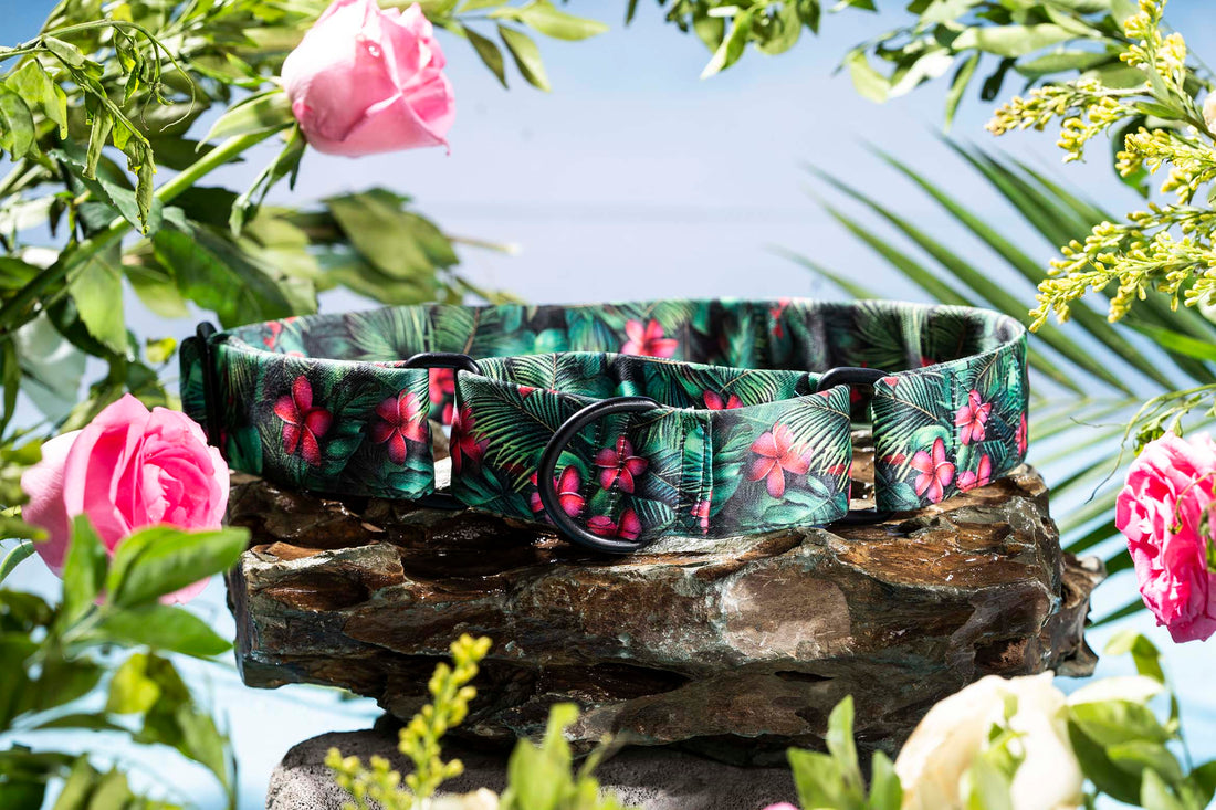 The Pink Paradise Martingale Dog Collar With QuickLink