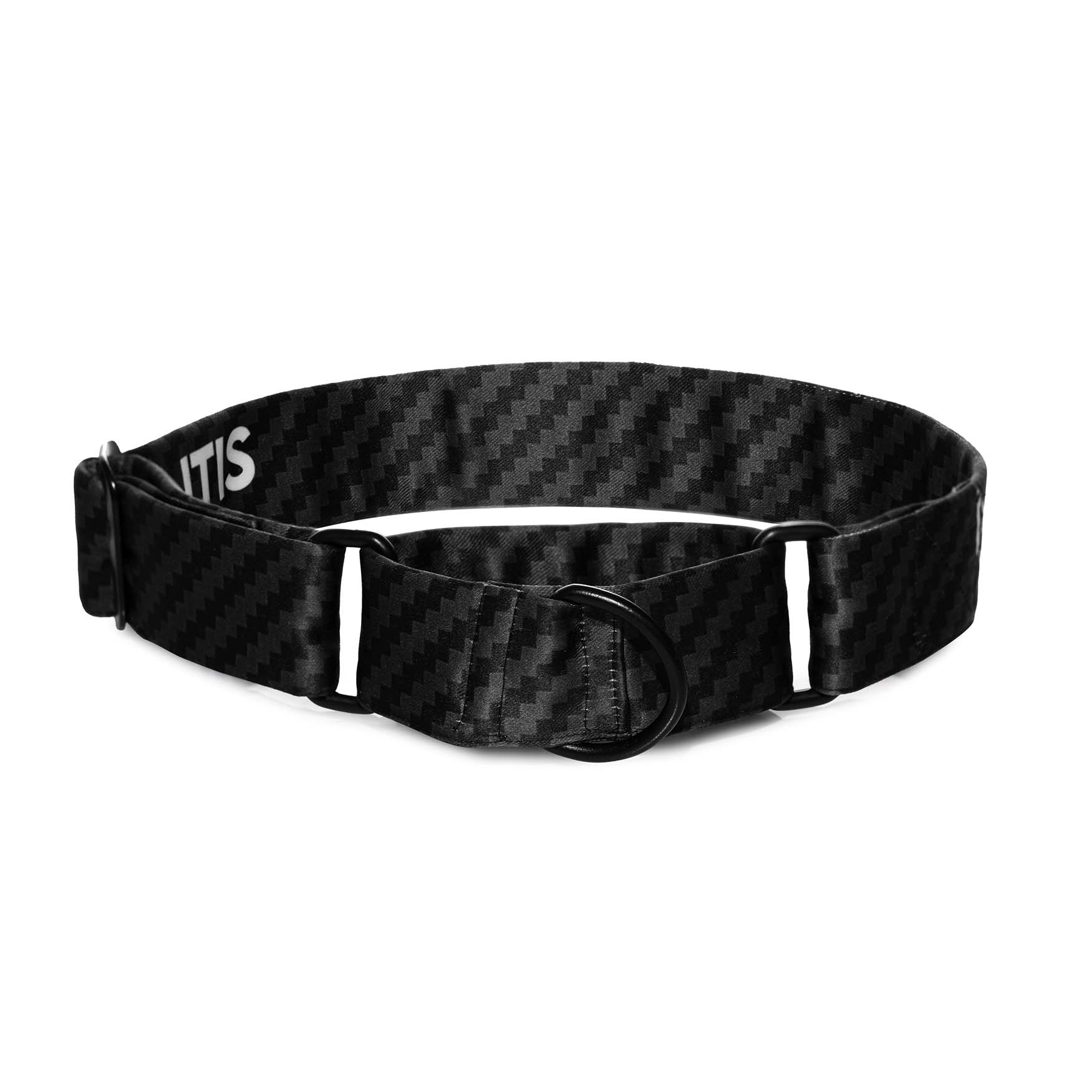 The Carbon Fiber Martingale Dog Collar With QuickLink