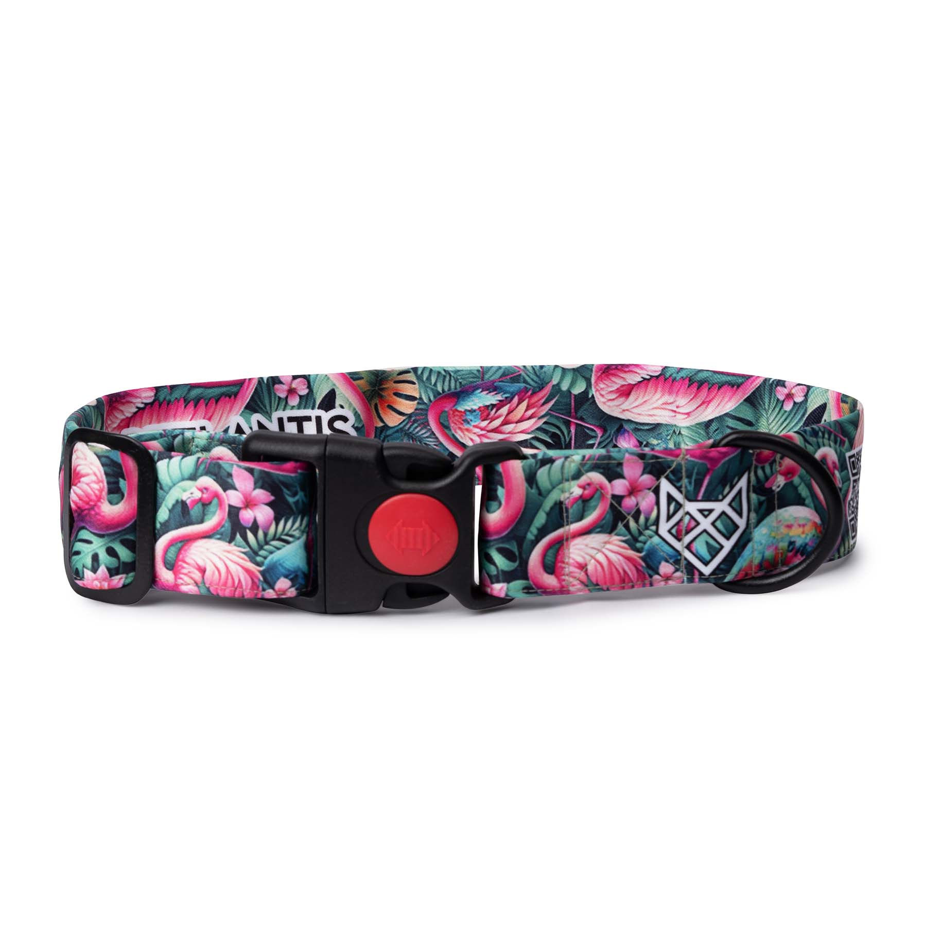 The Flamingo Oasis Buckle Dog Collar With QuickLink