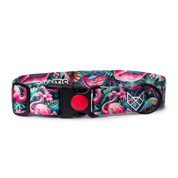 The Flamingo Oasis Buckle Dog Collar With QuickLink