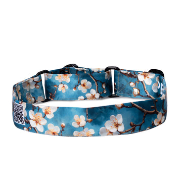 The Almond Blossom Martingale Dog Collar With QuickLink