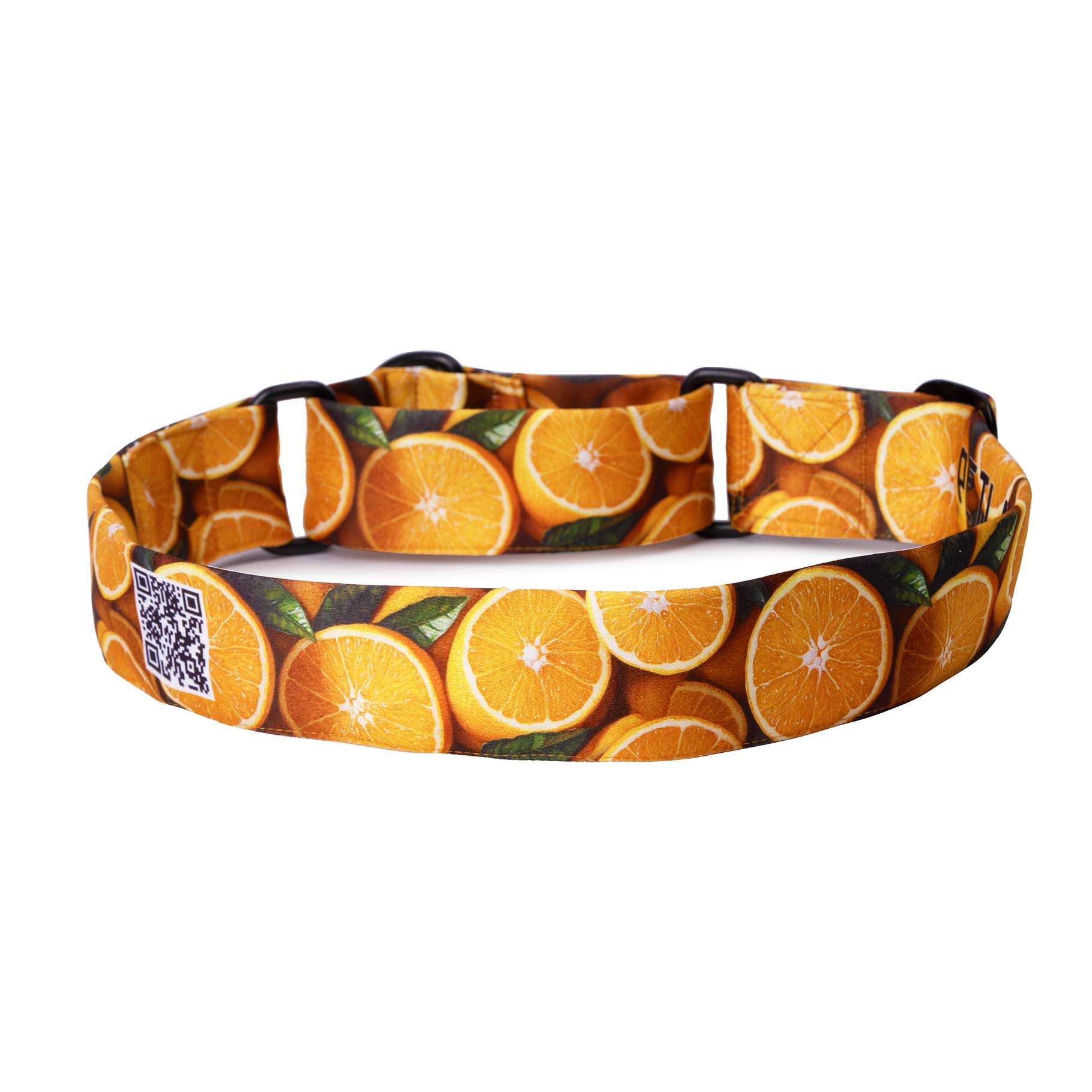 The Orange Spirit Martingale Dog Collar With QuickLink