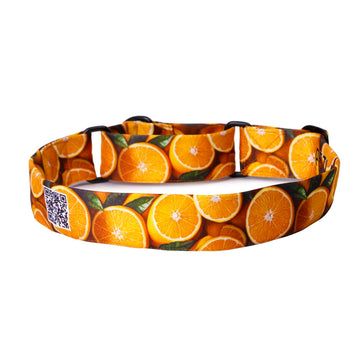 The Orange Spirit Martingale Dog Collar With QuickLink