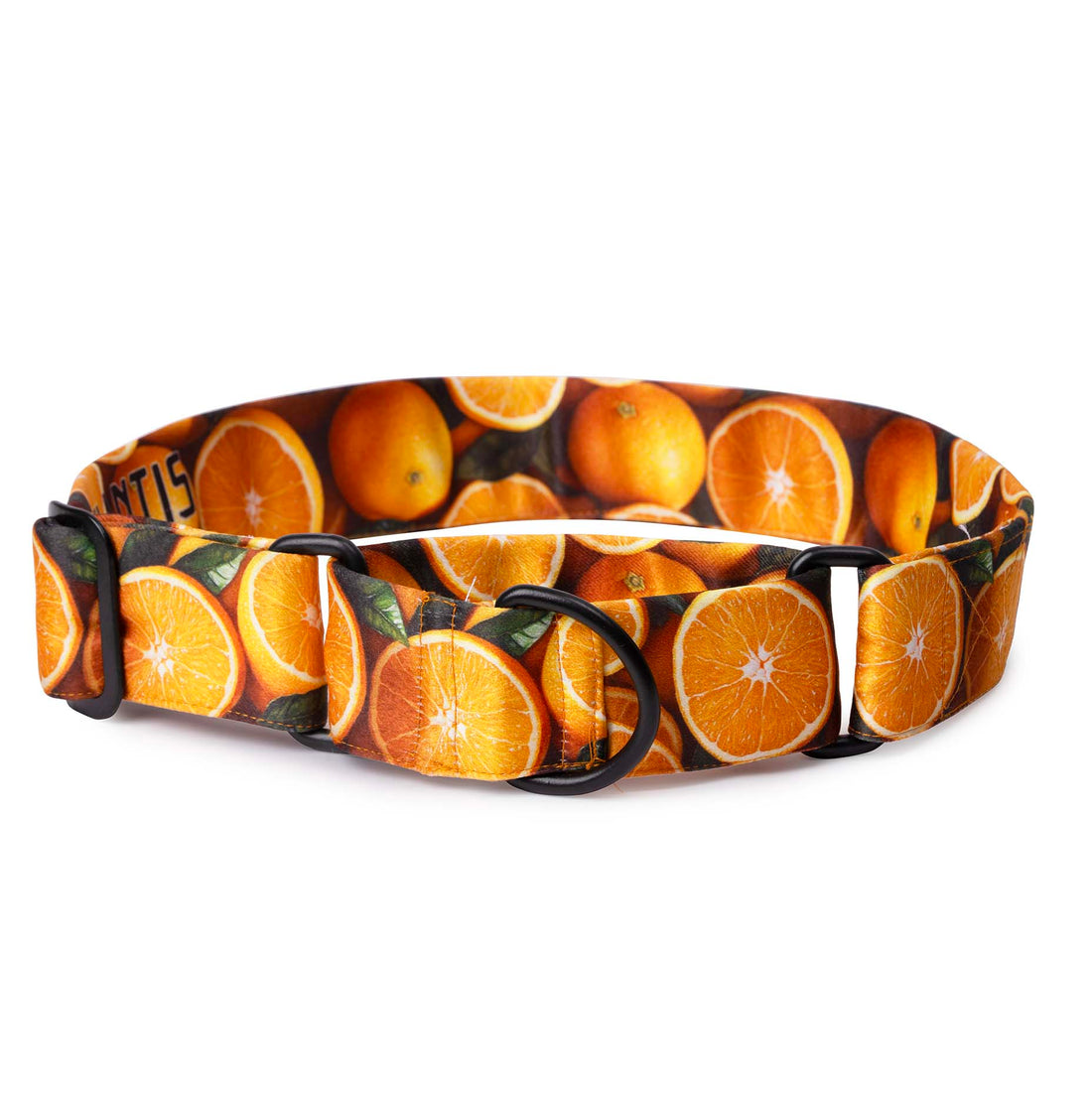 The Orange Spirit Martingale Dog Collar With QuickLink
