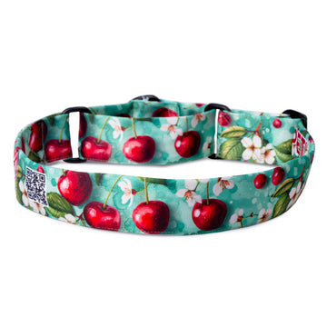 The Cherry Breeze Martingale Dog Collar With QuickLink