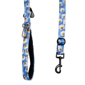 The Daisy Glow Multifunctional Leash