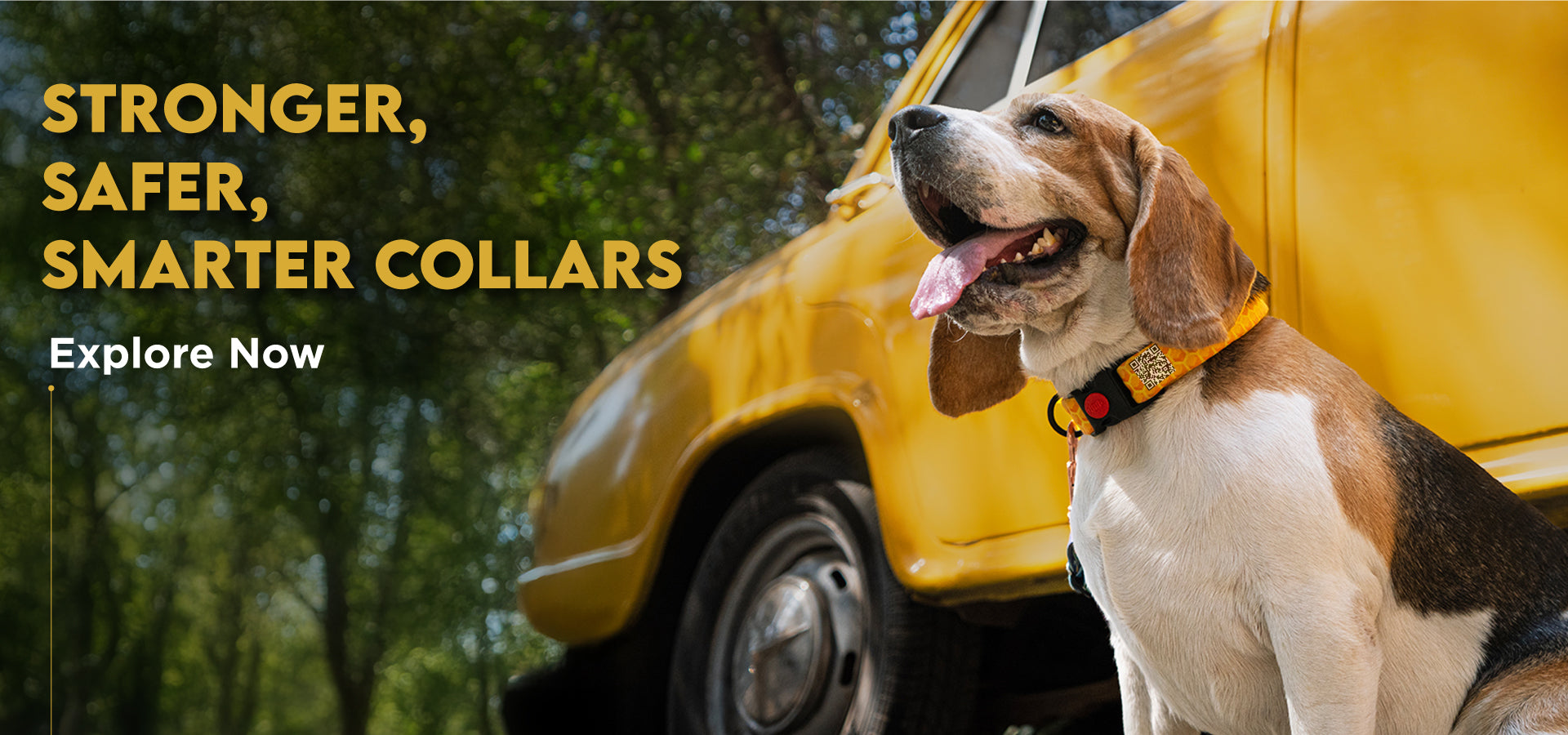 slider image slider_item_NVRabg