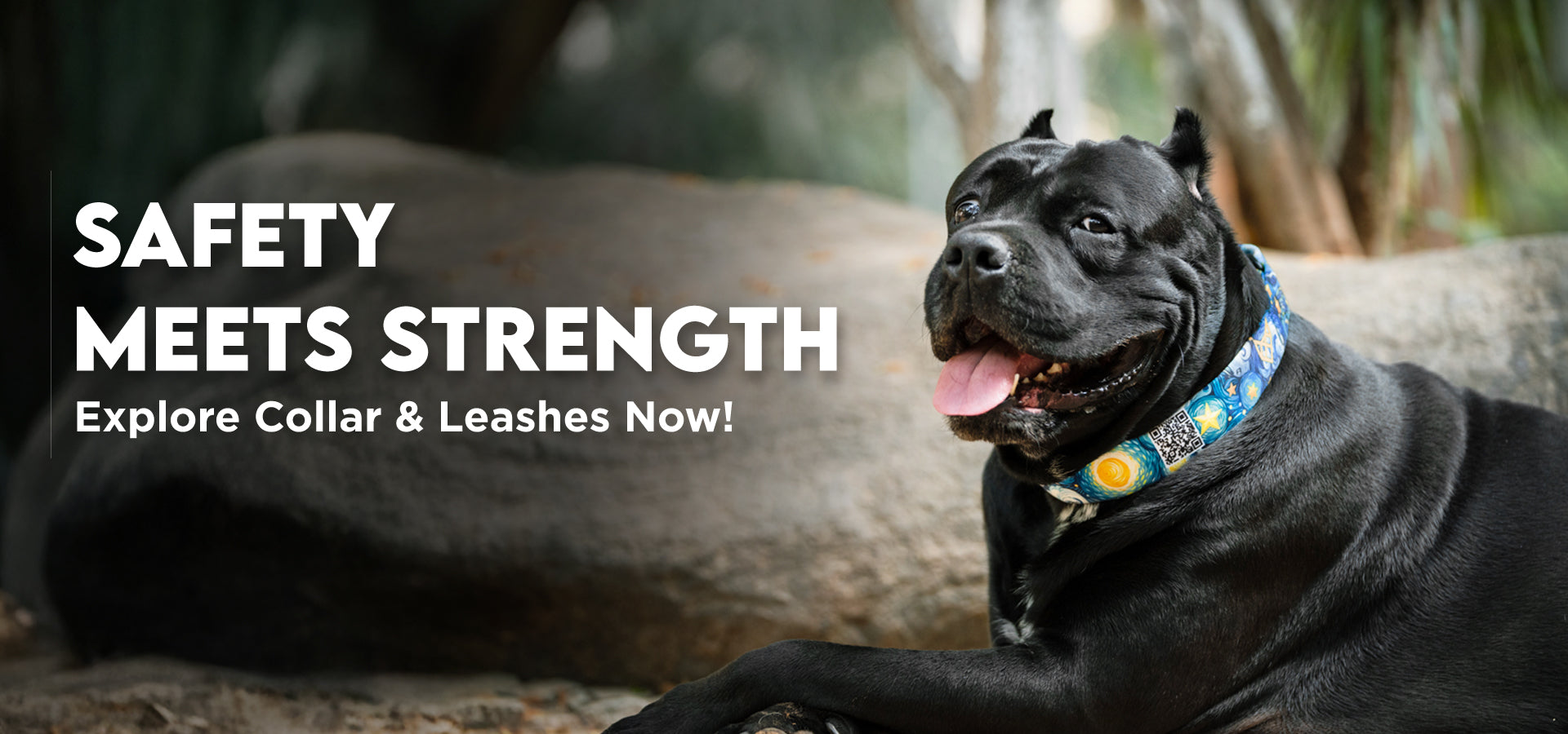 slider image slider_item_rTXdia