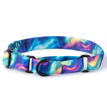 The Cosmic Drift Martingale Dog Collar With QuickLink