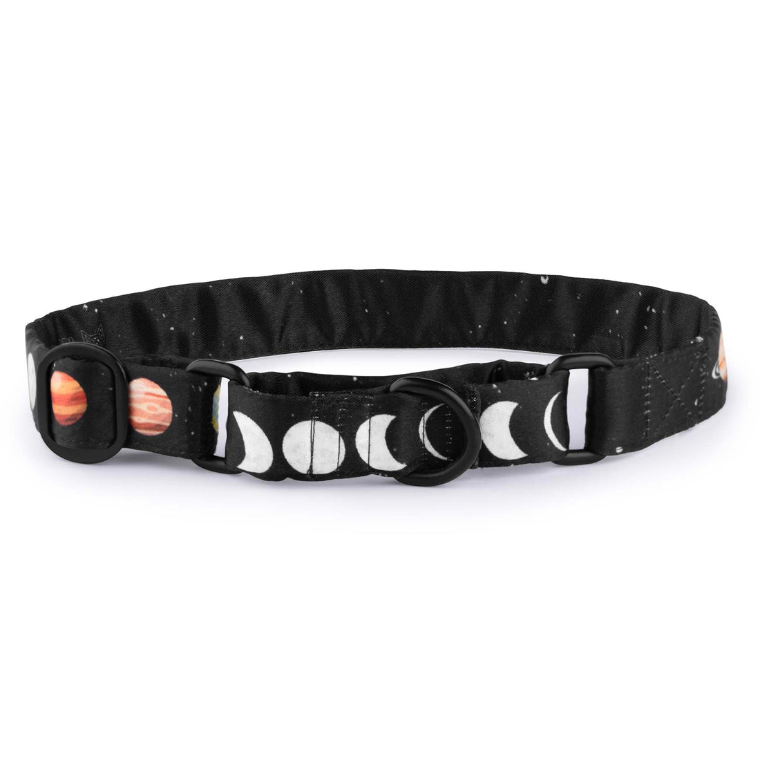 The Planetary Trail Martingale Dog Collar With QuickLink