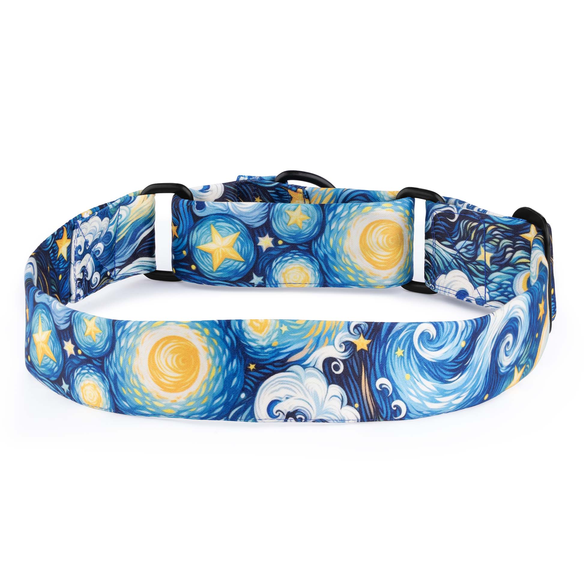 The Starry Nights Martingale Dog Collar With QuickLink