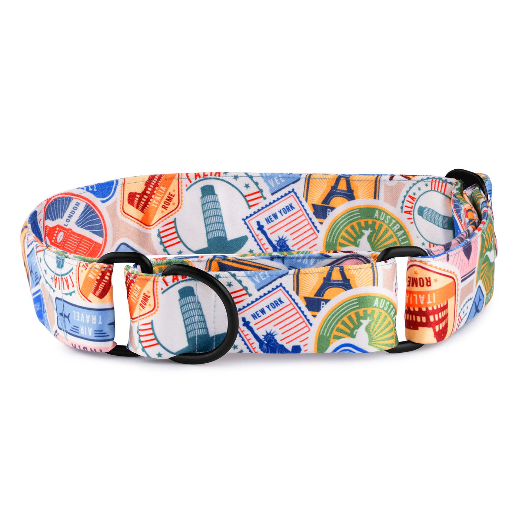 The Wanderlust Martingale Dog Collar With QuickLink