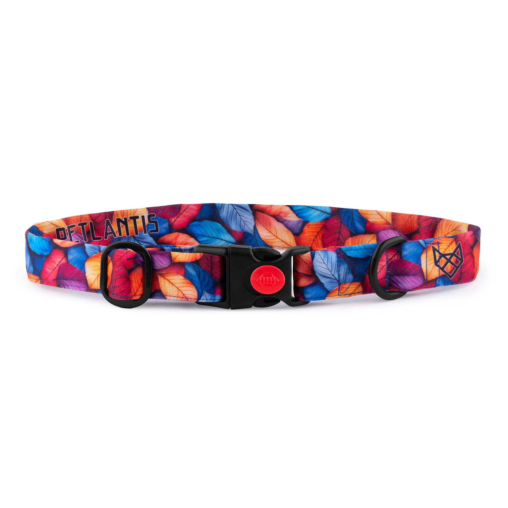 The Autumn Harmony Buckle Dog Collar With QuickLink