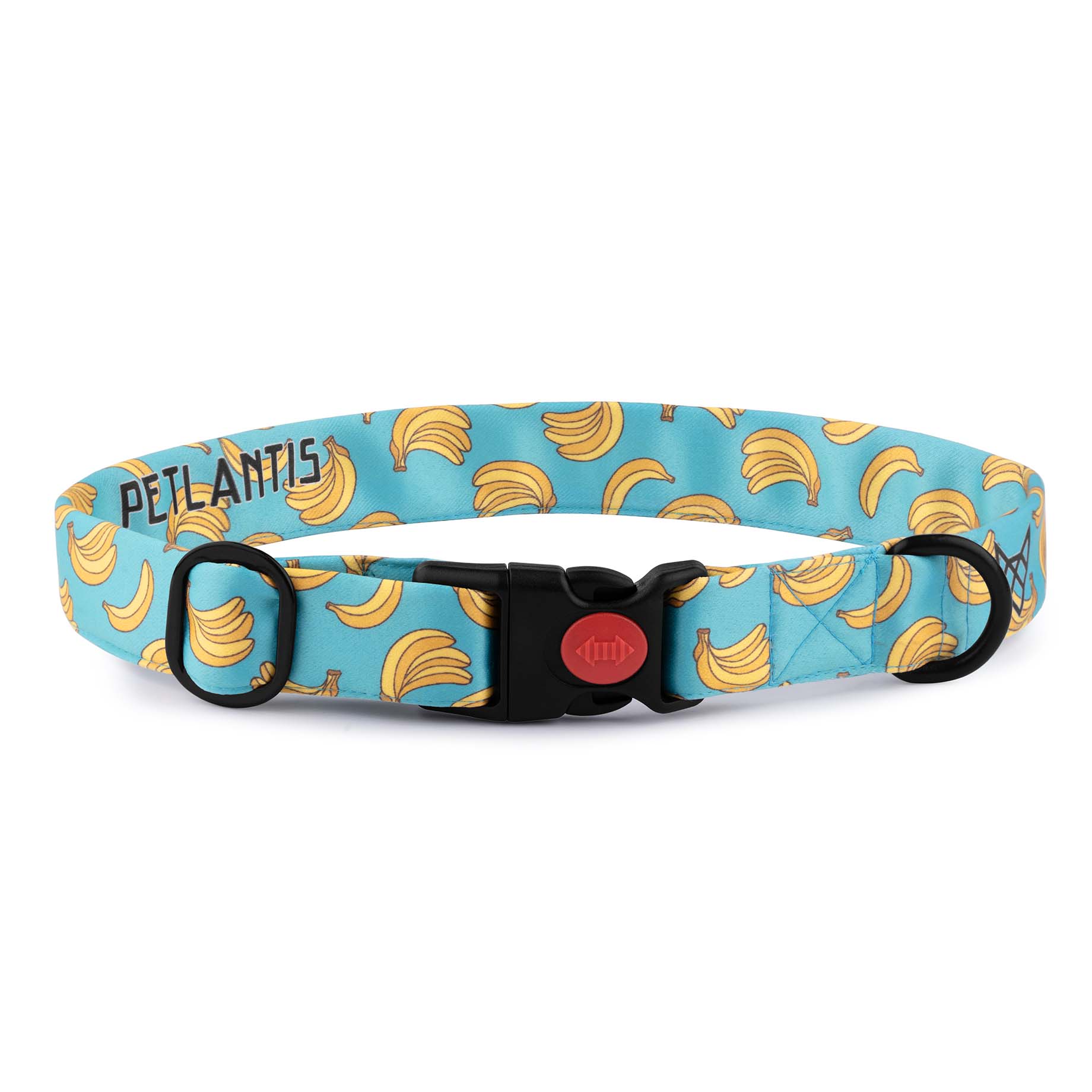 The Banana Twist Buckle Dog Collar With QuickLink