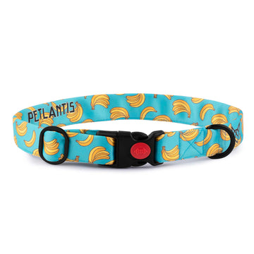 The Banana Twist Buckle Dog Collar With QuickLink
