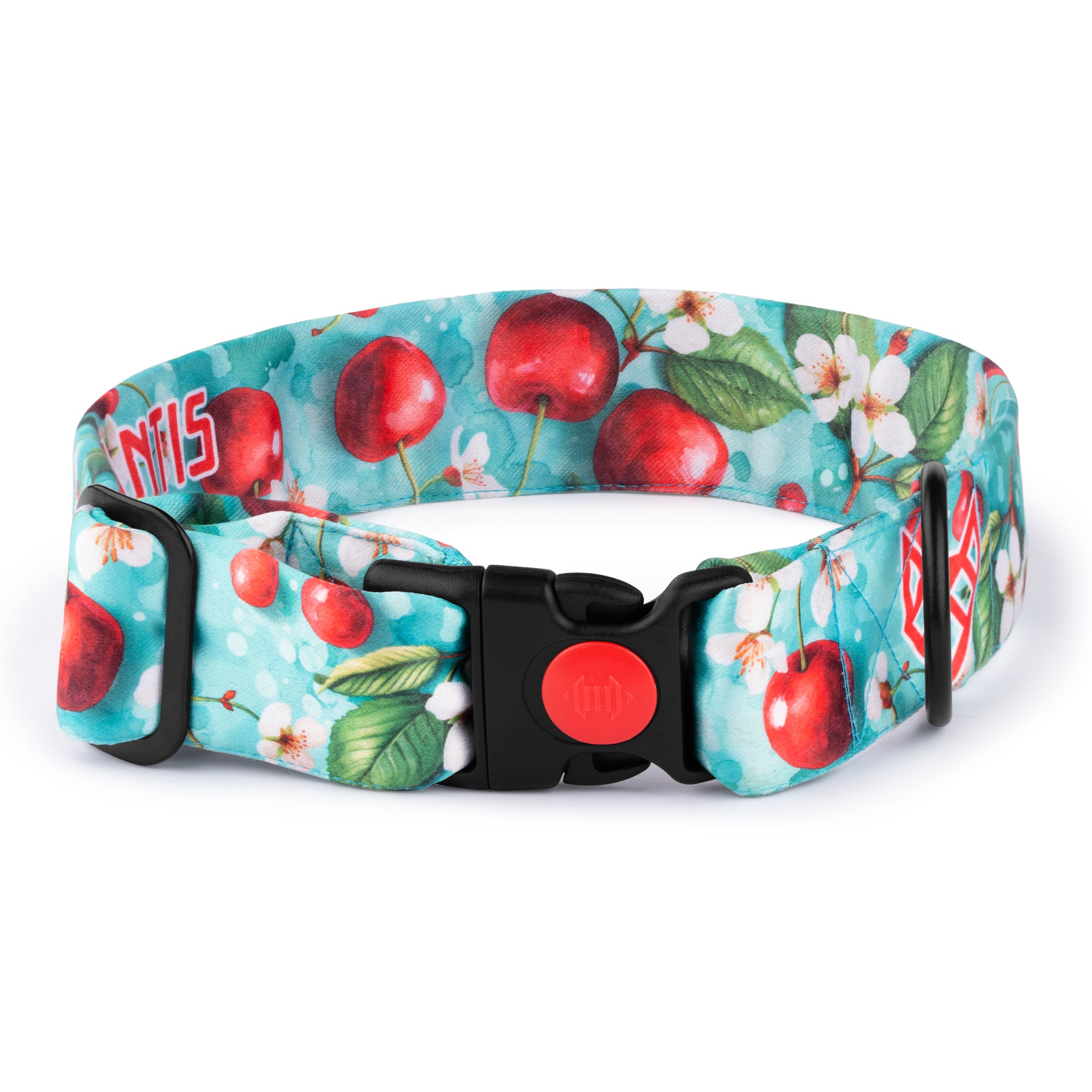The Cherry Breeze Buckle Dog Collar With QuickLink
