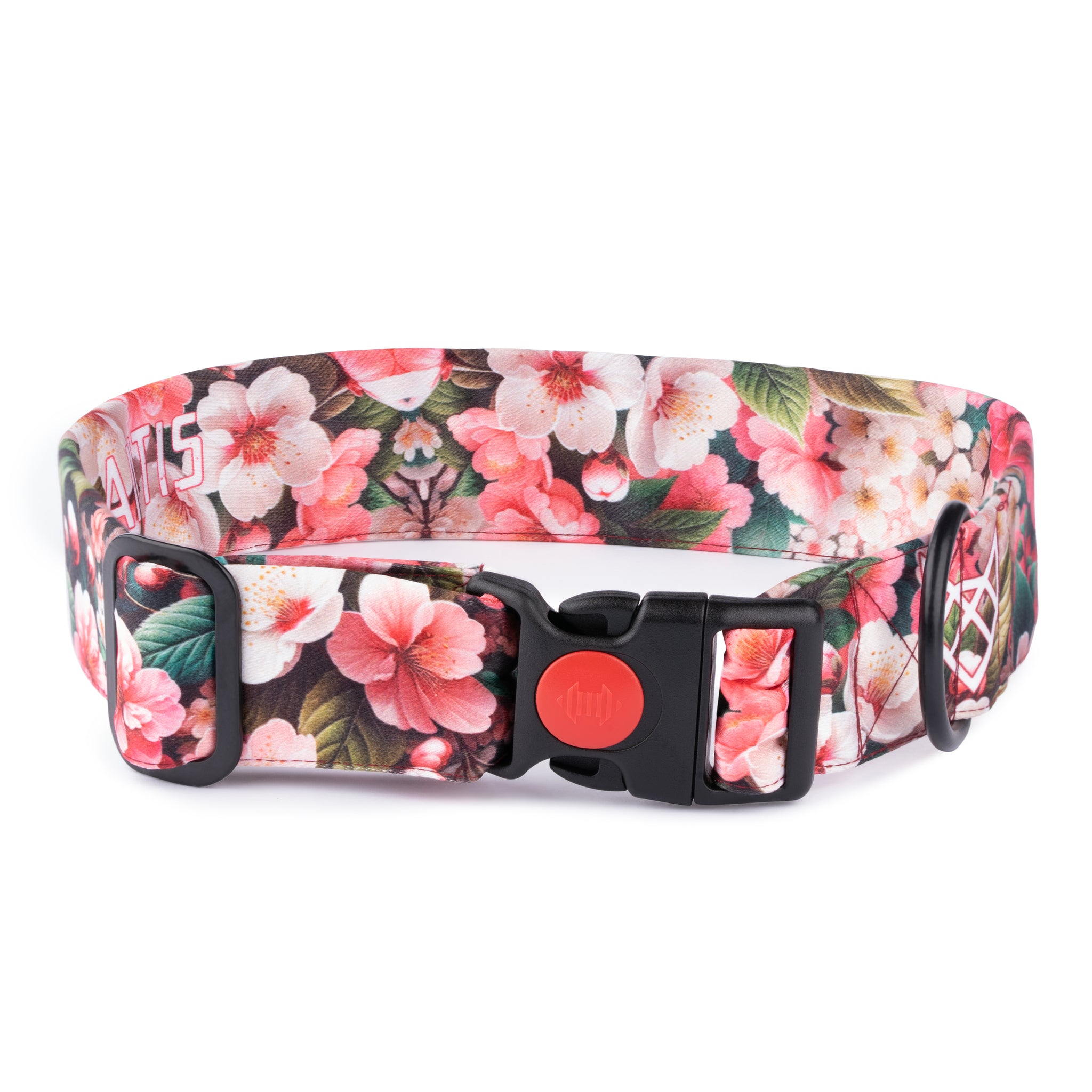 The Cherry Blossom Buckle Dog Collar With QuickLink