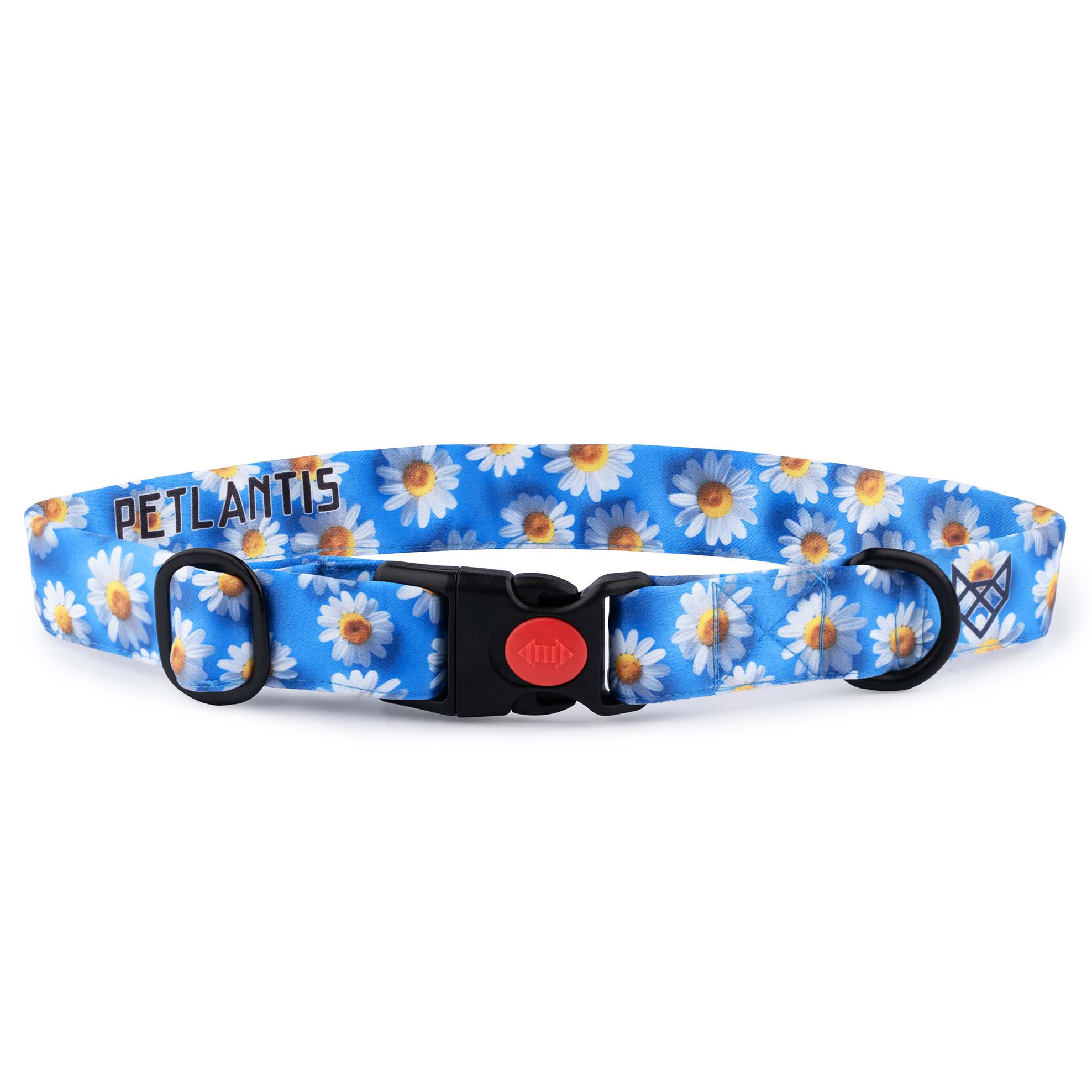 The Daisy Glow Buckle Dog Collar With QuickLink