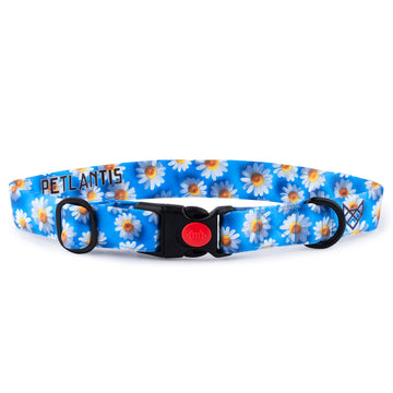 The Daisy Glow Buckle Dog Collar With QuickLink