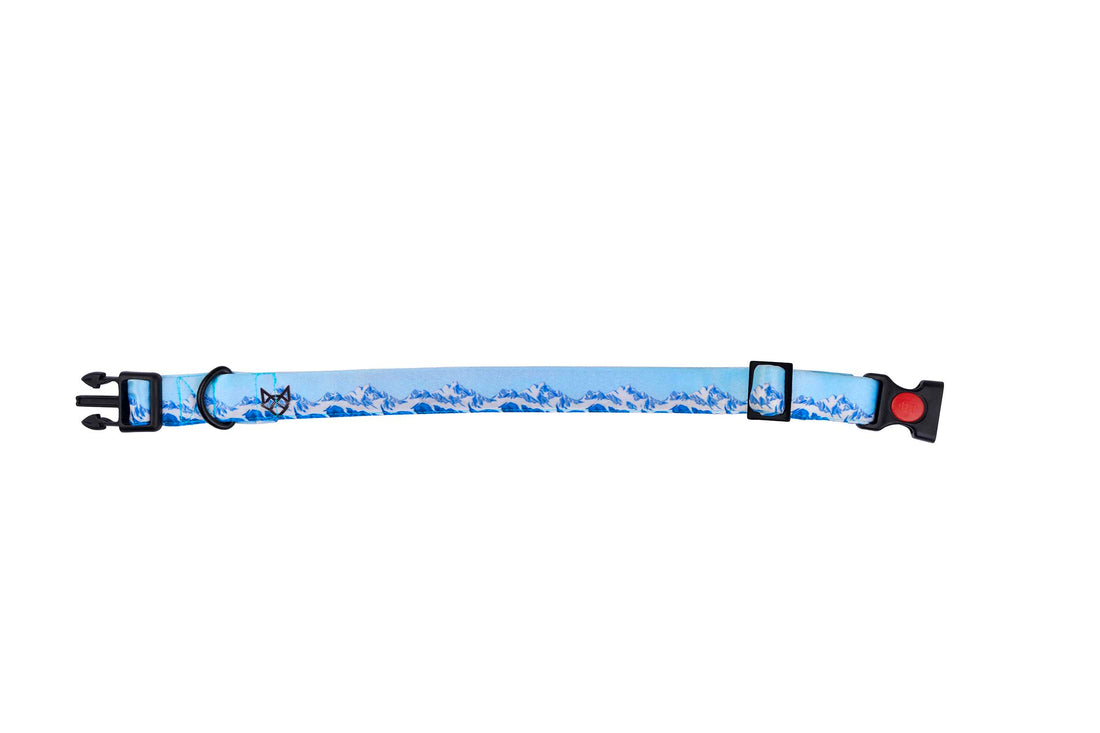 The Himalaya Spirit Buckle Dog Collar With QuickLink