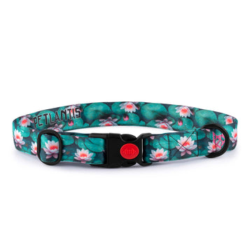The Lotus Bloom Buckle Dog Collar With QuickLink