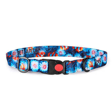 The Nemo Tide Buckle Dog Collar With QuickLink