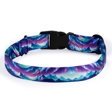 The Northern Lights Buckle Dog Collar With QuickLink
