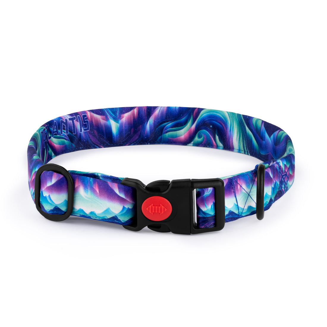 The Northern Lights Buckle Dog Collar With QuickLink
