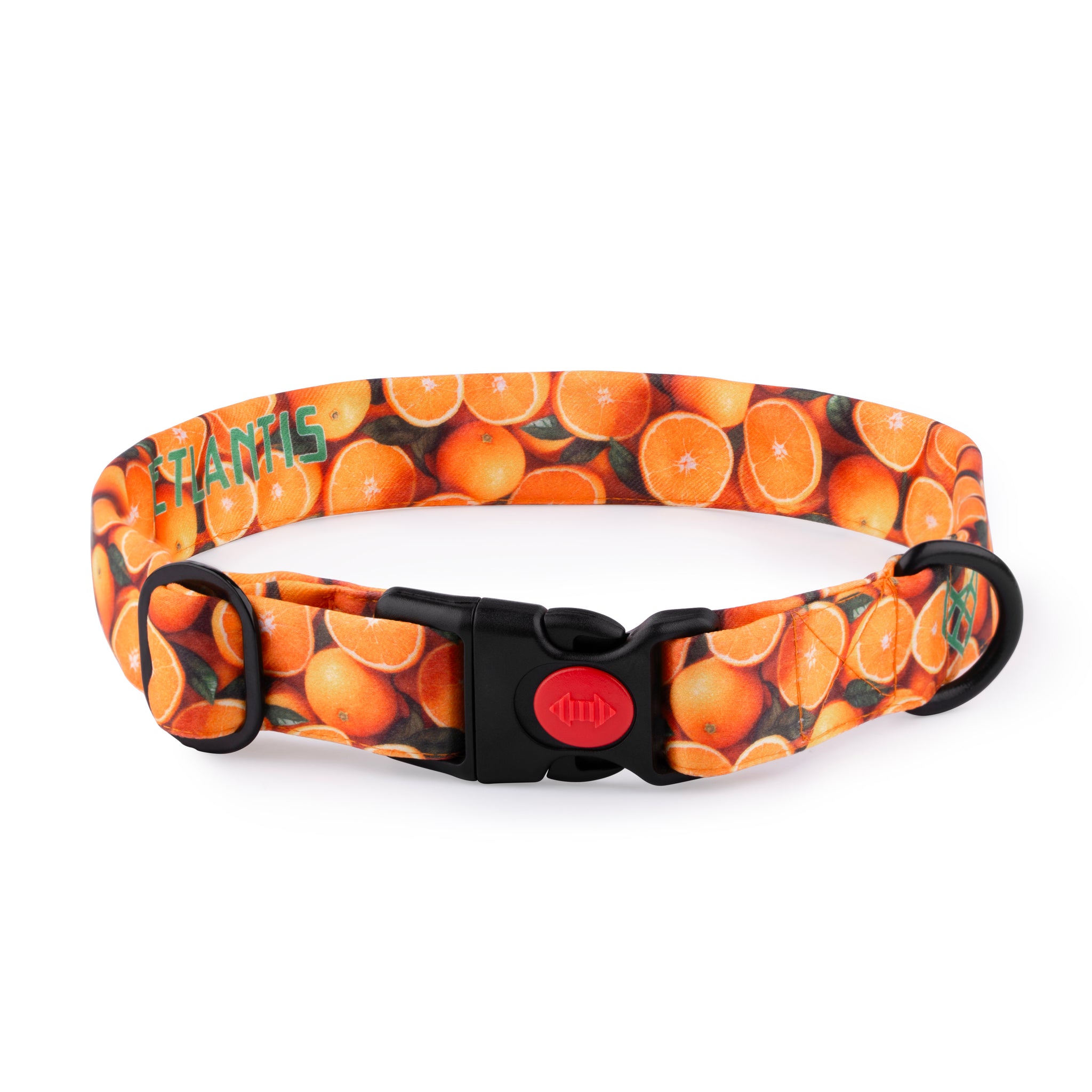 The Orange Spirit Buckle Dog Collar With QuickLink