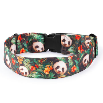 The Panda Haven Buckle Dog Collar With QuickLink