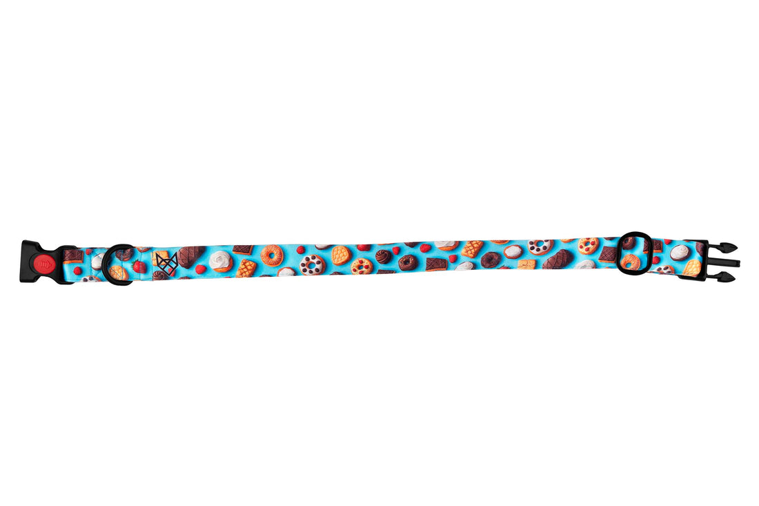 The Sugar Rush Buckle Dog Collar With QuickLink
