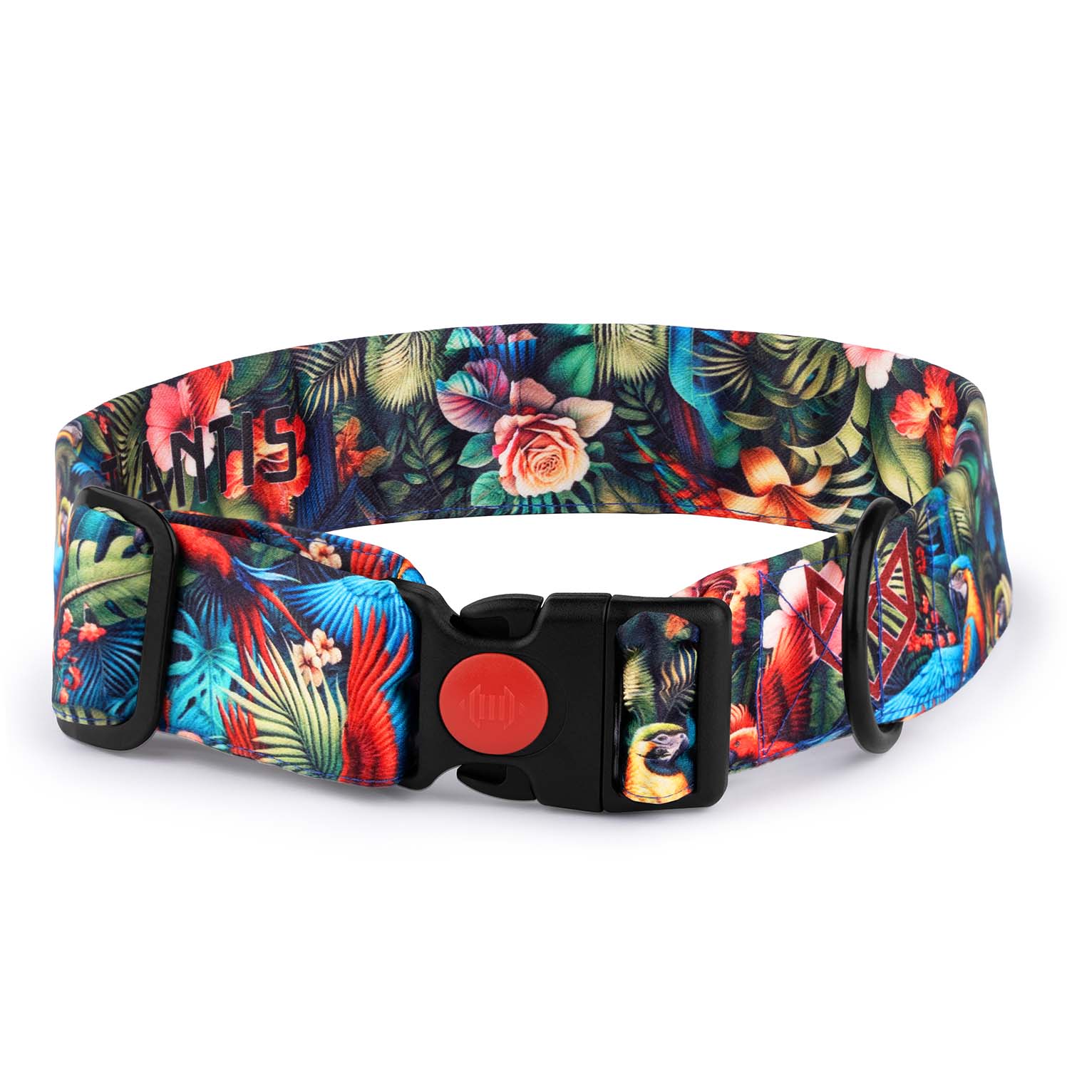 The Tropical Parade Buckle Dog Collar With QuickLink