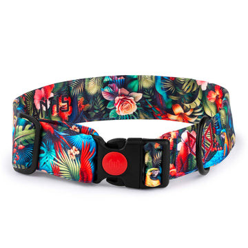The Tropical Parade Buckle Dog Collar With QuickLink