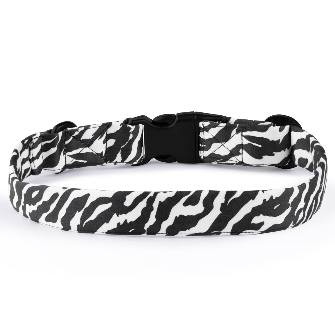 The Zebra Path Buckle Dog Collar With QuickLink
