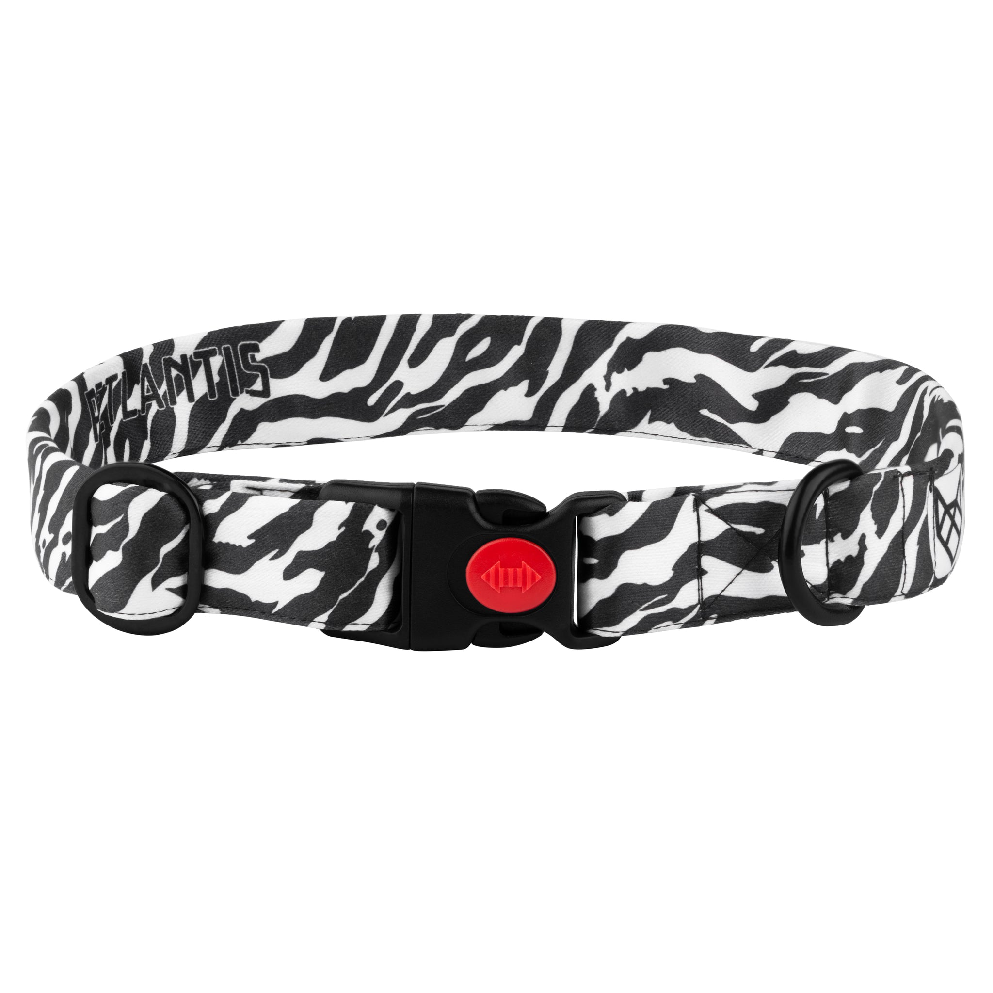 The Zebra Path Buckle Dog Collar With QuickLink