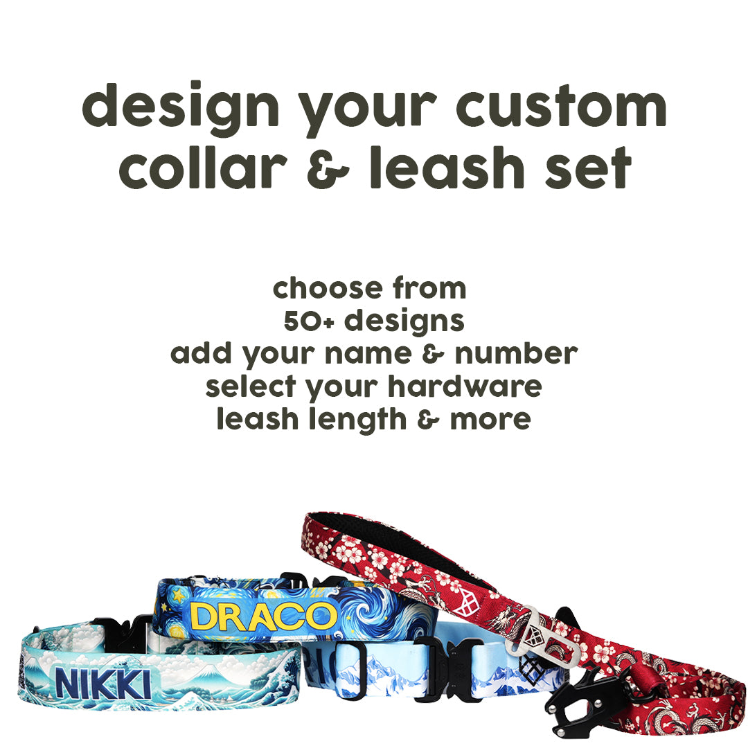 Custom Collar & Leash Set
