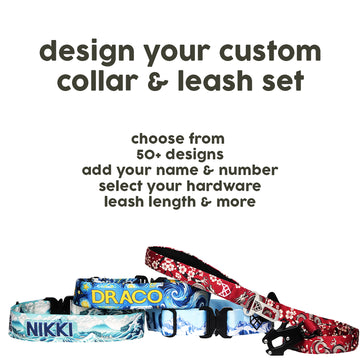 Custom Collar & Leash Set