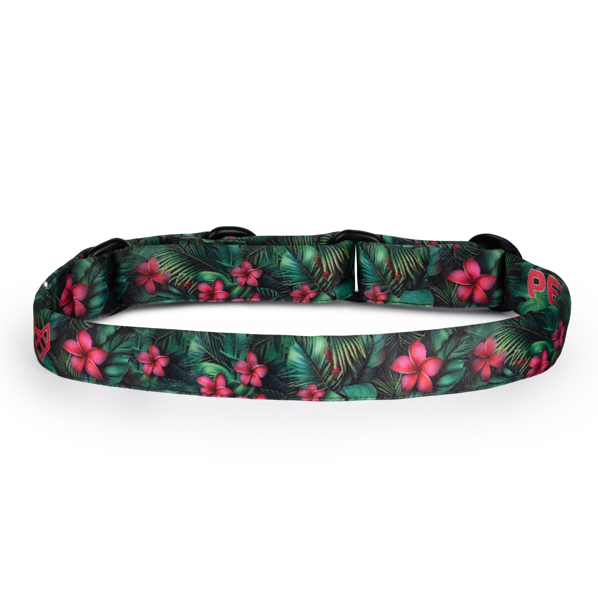 The Pink Paradise Martingale Dog Collar With QuickLink