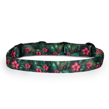 The Pink Paradise Martingale Dog Collar With QuickLink