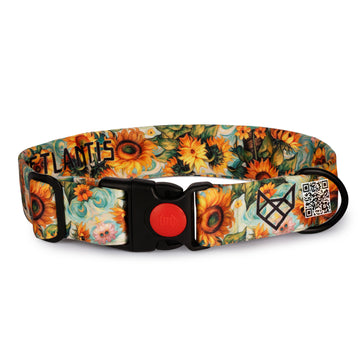 The Sunflower Swirl Buckle Dog Collar With QuickLink