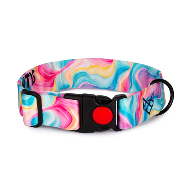 The Candy Wave Buckle Dog Collar With QuickLink