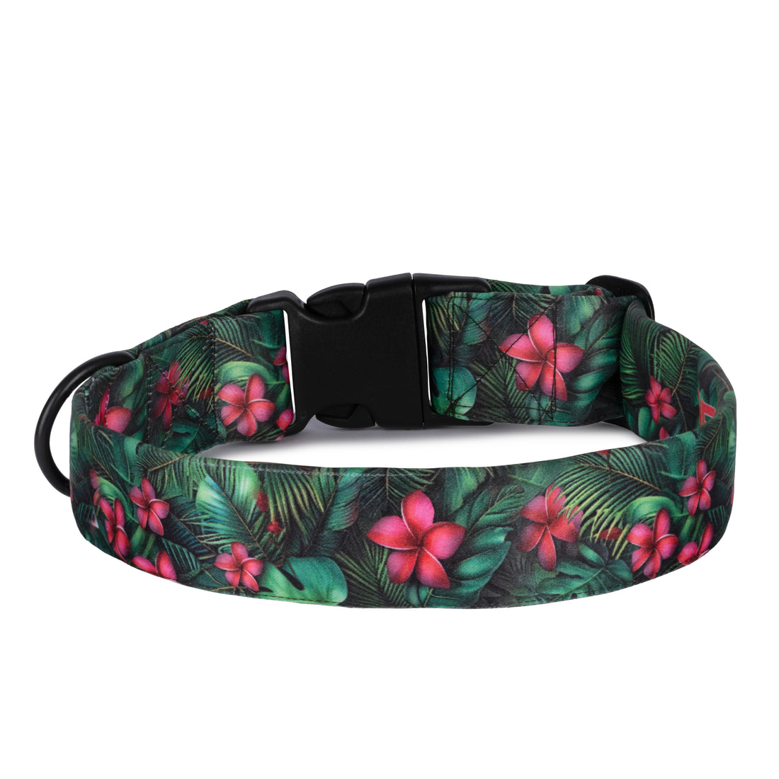 The Pink Paradise Buckle Dog Collar With QuickLink
