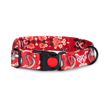 The Dragon Blossom Buckle Dog Collar With QuickLink