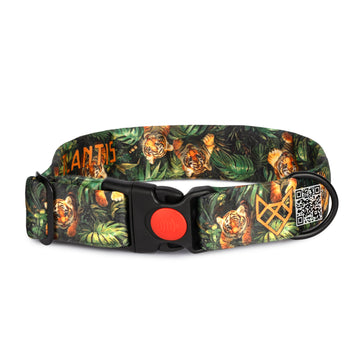 The Tiger Kingdom Buckle Dog Collar With QuickLink