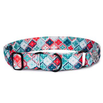 The Morocco Martingale Dog Collar With QuickLink